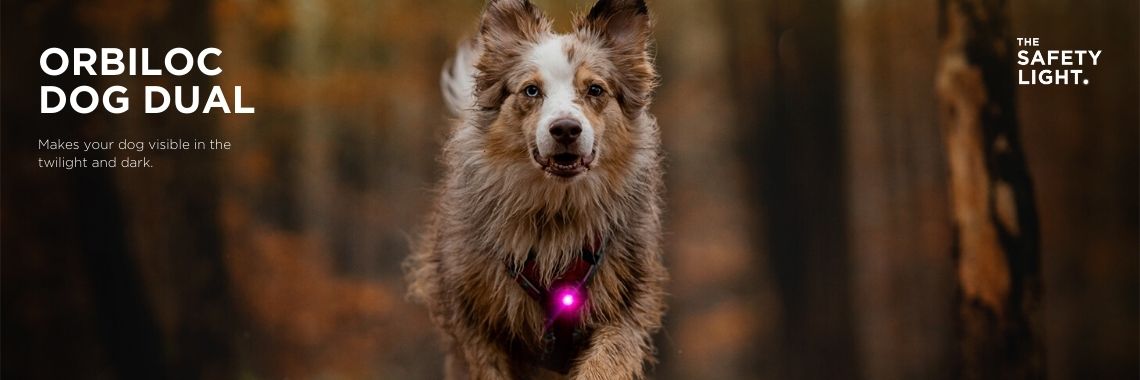 Orbiloc Dog Dual Safety Light